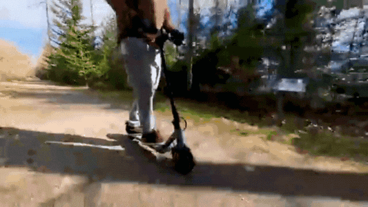 Trotineta Electrica PROmax💨